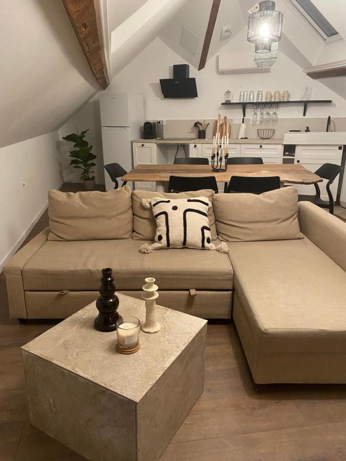 Apartmán T3 Kokon Lumineux & Chaleureux, Parking, Climatisation Bagnères-de-Bigorre Exteriér fotografie
